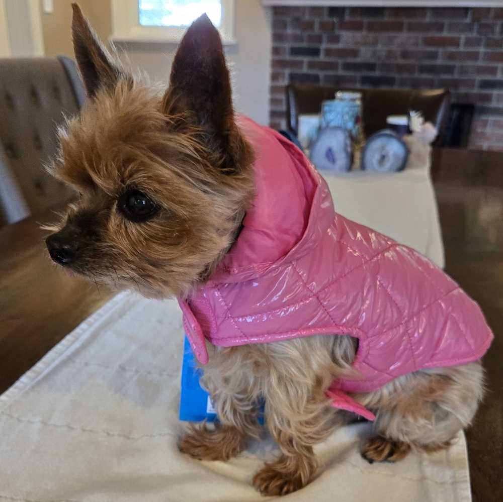 Bubblegum Pink Quilted Dog Jacket XS